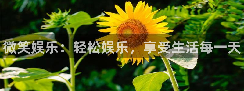 天富平台网站平台登录：微笑娱乐：轻松娱乐，享受生活每一天
