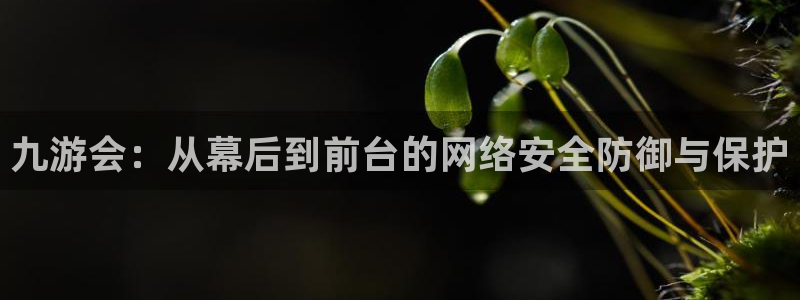 天富平台凯捷开号链接：九游会：从幕后到前台的网络安全防御与保护