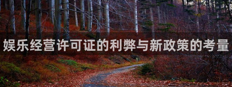 天富平台.ccmpc正版官网版下载：娱乐经营许可证的利弊与新政策的考量