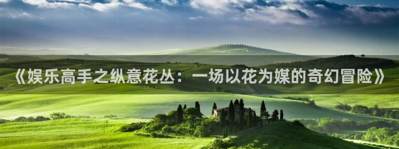 天富平台体育官网注册：《娱乐高手之纵意花丛：一场以花为媒的奇幻冒险》