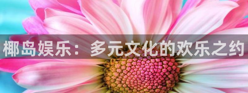 天富平台体育eon：椰岛娱乐：多元文化的欢乐之约
