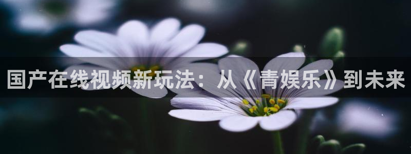 天富平台体育平台登录入口：国产在线视频新玩法：从《青娱乐》到未来