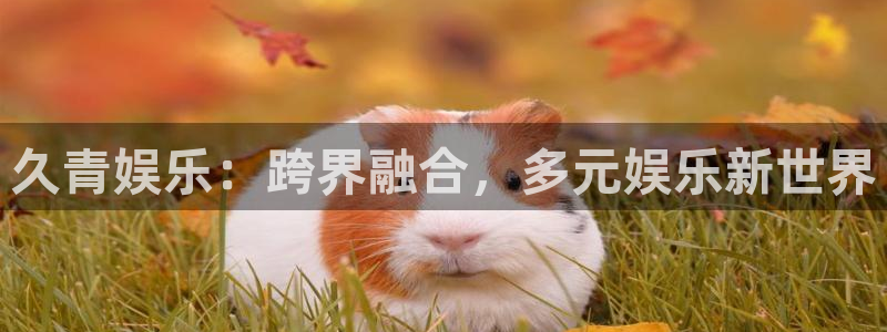 天富平台体育3：久青娱乐：跨界融合，多元娱乐新世界