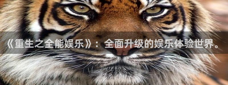 天富平台游戏官网平台：《重生之全能娱乐》：全面升级的娱乐体验世界。