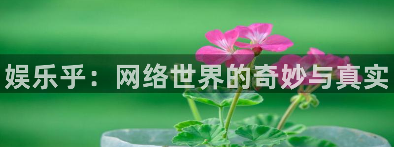天富平台平台最新版本下载：娱乐乎：网络世界的奇妙与真实