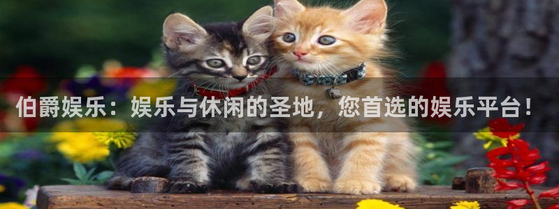 天富平台体育官网入口登录：伯爵娱乐：娱乐与休闲的圣地，您首选的娱乐平台！