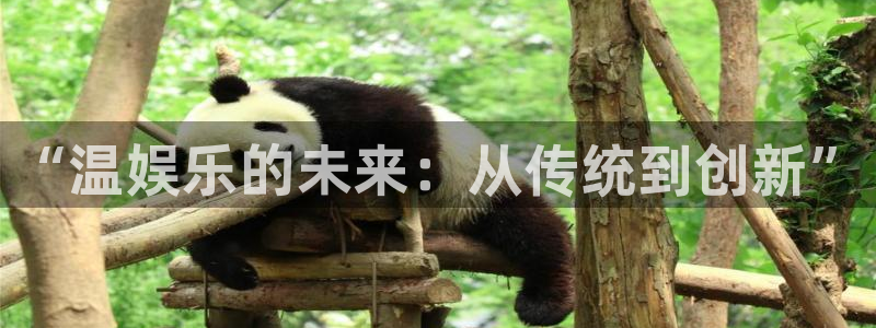 天富平台3注册：“温娱乐的未来：从传统到创新”