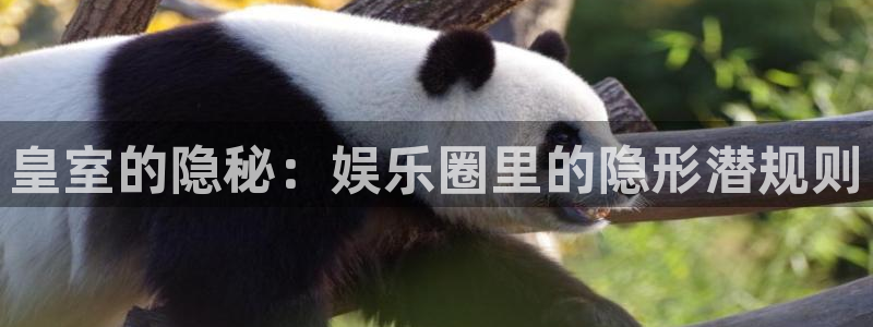 天富平台官方网站：皇室的隐秘：娱乐圈里的隐形潜规则