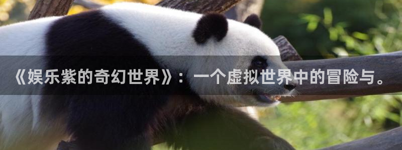 天富平台娱乐：《娱乐紫的奇幻世界》：一个虚拟世界中的冒险与。