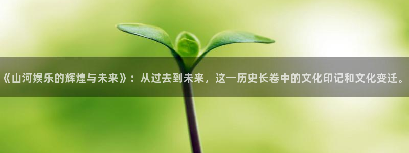 天富平台招商