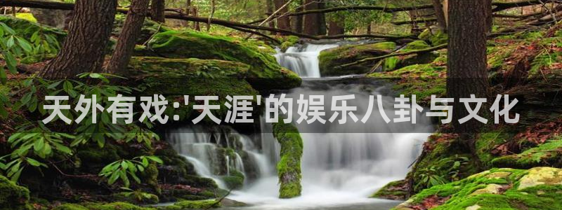 天富平台注册网页版：天外有戏:\'天涯\'的娱乐八卦与文化