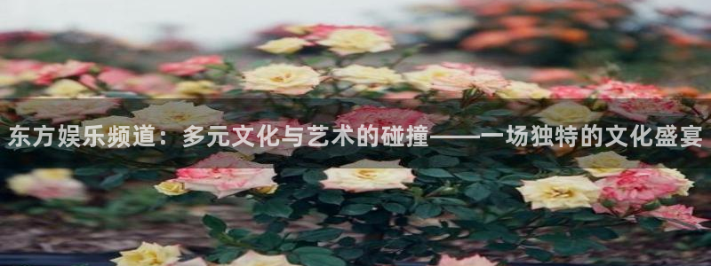 天富平台平台最新版本下载：东方娱乐频道：多元文化与艺术的碰撞——一场独特的文化盛