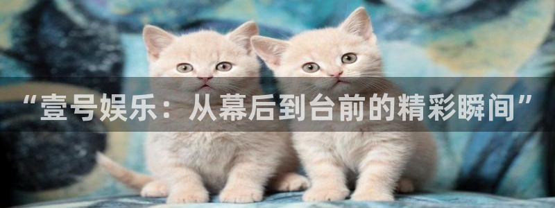 天富平台4登录：“壹号娱乐：从幕后到台前的精彩瞬间”