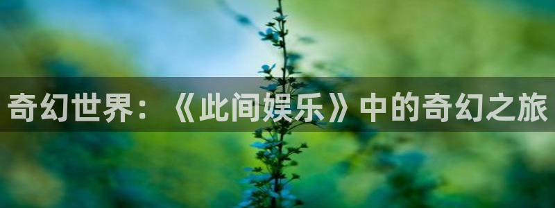 天富平台vk：奇幻世界：《此间娱乐》中的奇幻之旅