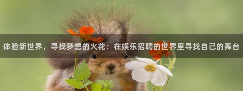 天富平台ccm麻将胡了：体验新世界，寻找梦想的火花：在娱乐招聘的世界里寻找自己的