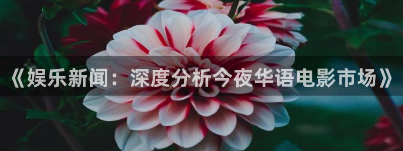 天富平台加拿大在线预测：《娱乐新闻：深度分析今夜华语电影市场》