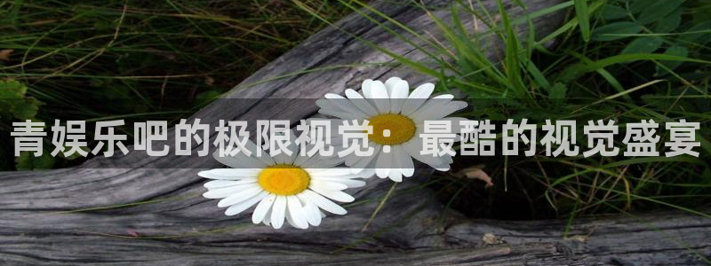 天富平台是什么：青娱乐吧的极限视觉：最酷的视觉盛宴