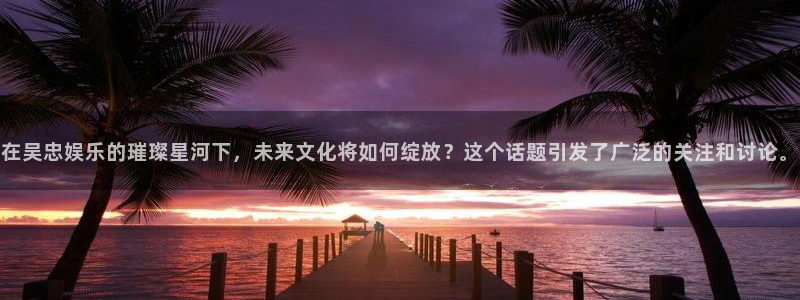 天富平台4：在吴忠娱乐的璀璨星河下，未来文化将如何绽放？这个话题引发了广泛的关注