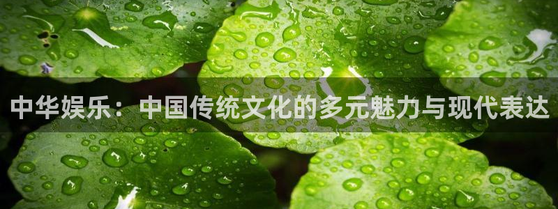 天富平台2平台注册：中华娱乐：中国传统文化的多元魅力与现代表达